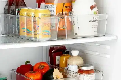 Por Que é Importante Organizar a Geladeira?