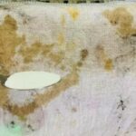 Aprenda a desencardir pano de prato de forma simples e eficiente