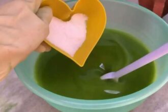 Aprenda a Fazer Sabão Caseiro de Folha de Mamão de Forma Ecológica