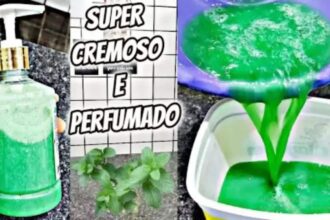 Aprenda a Fazer Sabonete Líquido de Hortelã em Sua Casa