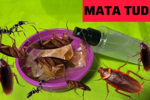 Como eliminar insetos indesejados de maneira eficiente e sustentável