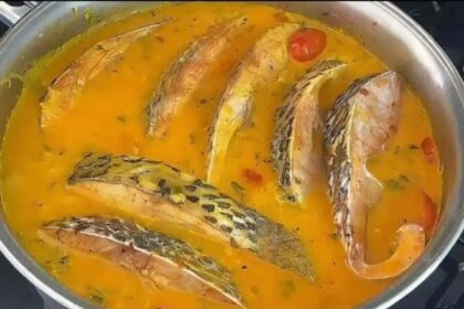 Receita saborosa de peixe no leite de coco para o seu dia a dia